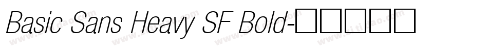Basic Sans Heavy SF Bold字体转换